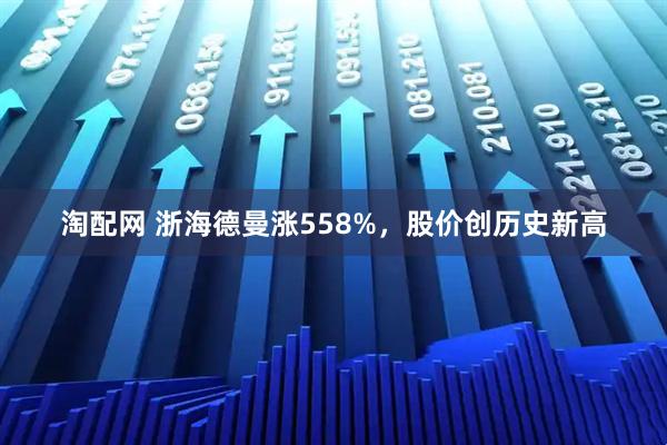 淘配网 浙海德曼涨558%，股价创历史新高