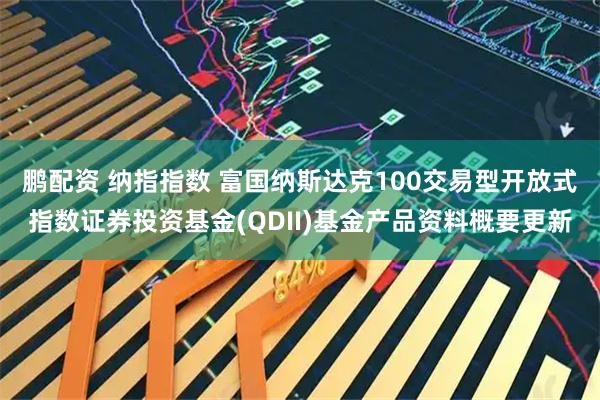 鹏配资 纳指指数 富国纳斯达克100交易型开放式指数证券投资基金(QDII)基金产品资料概要更新