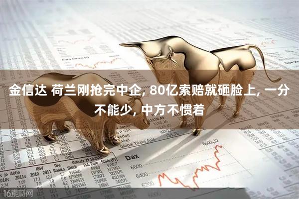 金信达 荷兰刚抢完中企, 80亿索赔就砸脸上, 一分不能少, 中方不惯着